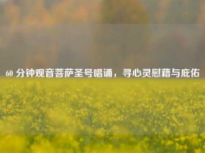 60 分钟观音菩萨圣号唱诵，寻心灵慰藉与庇佑