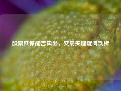 股票跌停能否卖出，交易关键疑问剖析