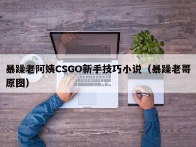 暴躁老阿姨CSGO新手技巧小说（暴躁老哥原图）