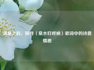 清泉之韵，探寻〈泉水叮咚响〉歌词中的诗意情思