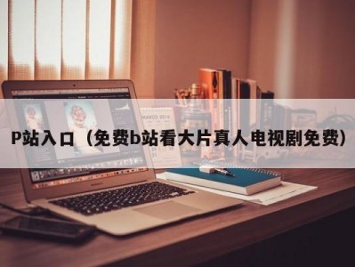 P站入口（免费b站看大片真人电视剧免费）
