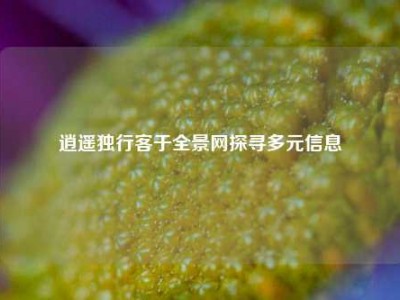 逍遥独行客于全景网探寻多元信息