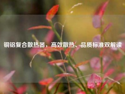铜铝复合散热器，高效散热、品质标准双解读