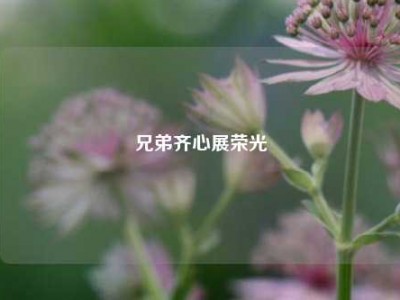 兄弟齐心展荣光