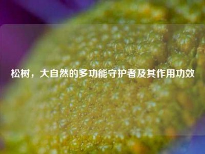 松树，大自然的多功能守护者及其作用功效