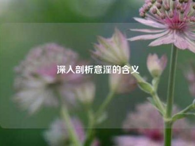 深入剖析意淫的含义