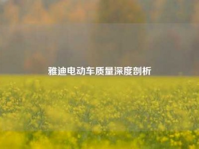 雅迪电动车质量深度剖析