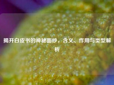 揭开白皮书的神秘面纱，含义、作用与类型解析