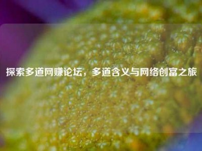 探索多道网赚论坛，多道含义与     创富之旅