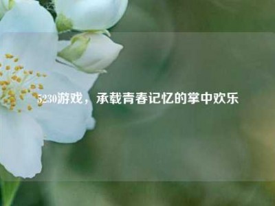 5230游戏，承载青春记忆的掌中欢乐
