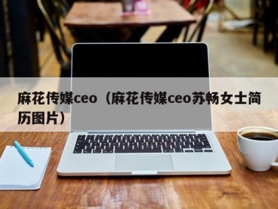 麻花传媒ceo（麻花传媒ceo苏畅女士简历图片）