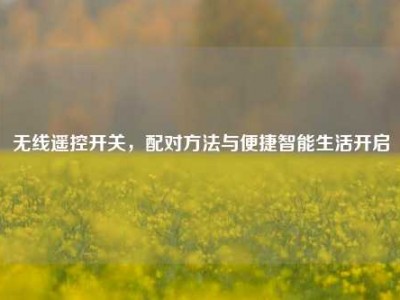 无线遥控开关，配对     与便捷智能生活开启