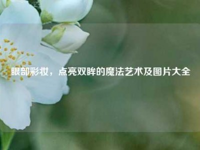 眼部彩妆，点亮双眸的魔法艺术及图片大全