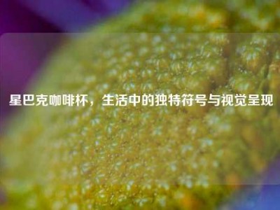 星巴克咖啡杯，生活中的独特符号与视觉呈现