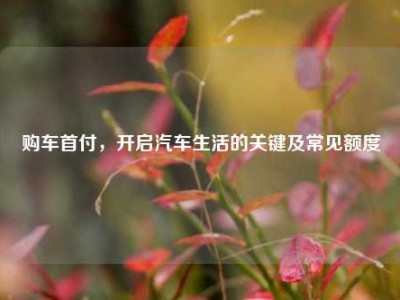 购车首付，开启汽车生活的关键及常见额度