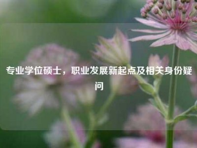 专业学位硕士，职业发展新起点及相关身份疑问