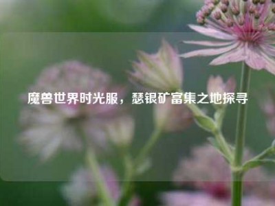 魔兽世界时光服，瑟银矿富集之地探寻