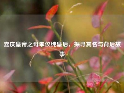 嘉庆皇帝之母孝仪纯皇后，探寻其名与背后故事