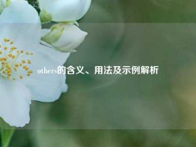 others的含义、用法及示例解析