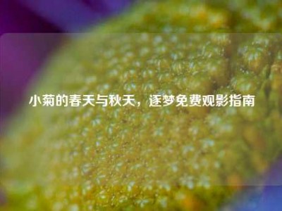 小菊的春天与秋天，逐梦免费观影指南