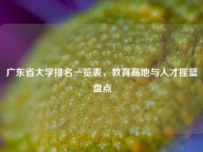 广东省大学排名一览表，教育高地与人才摇篮盘点