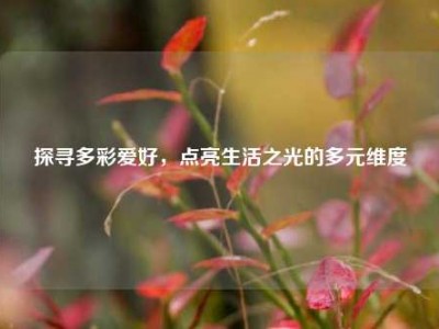 探寻多彩爱好，点亮生活之光的多元维度