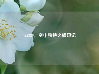 AA289，空中独特之旅印记