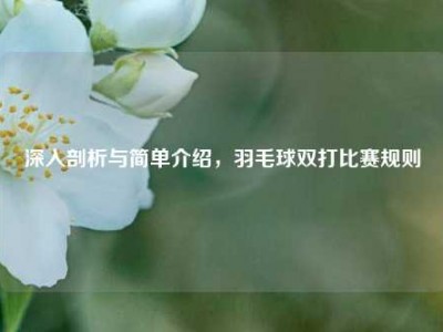 深入剖析与简单介绍，羽毛球双打比赛规则