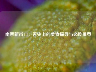 南京新街口，舌尖上的美食探寻与必吃推荐