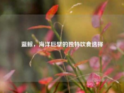 蓝鲸，海洋巨擘的独特饮食选择