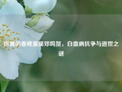 折翼的春晚童星邓鸣贺，白血病抗争与逝世之谜