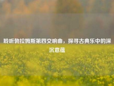 聆听勃拉姆斯第四交响曲，探寻古典乐中的深沉意蕴