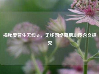 揭秘爱普生无线AP，无线     幕后功臣含义探究