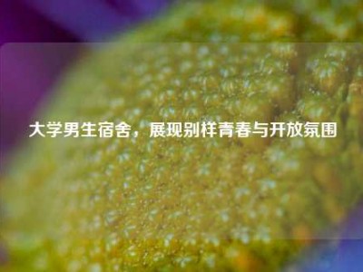 大学男生宿舍，展现别样青春与开放氛围