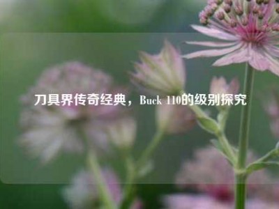 刀具界传奇经典，Buck 110的级别探究