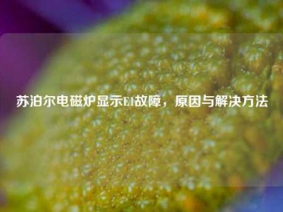 苏泊尔电磁炉显示E1故障，原因与解决     