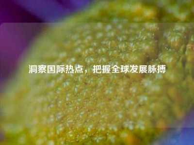 洞察国际热点，把握全球发展脉搏