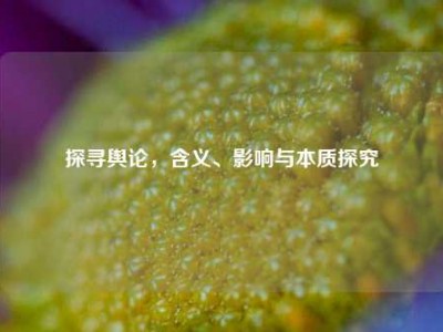 探寻舆论，含义、影响与本质探究