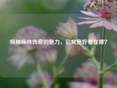 探秘梅林传奇的魅力，它究竟好看在哪？