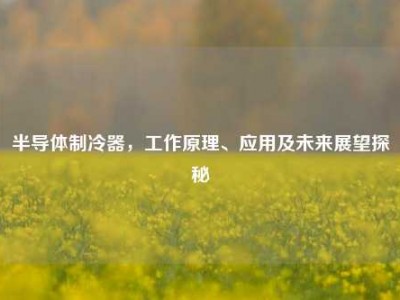 半导体制冷器，工作原理、应用及未来展望探秘