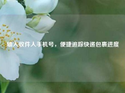 输入收件人手机号，便捷追踪快递包裹进度