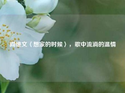 阎维文〈想家的时候〉，歌中流淌的温情