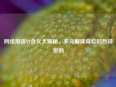网络用语YY含义大揭秘，多元解读背后的热词密码
