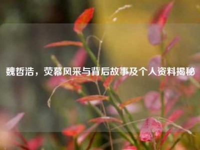 魏哲浩，荧幕风采与背后故事及个人资料揭秘