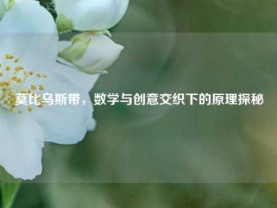 莫比乌斯带，数学与创意交织下的原理探秘