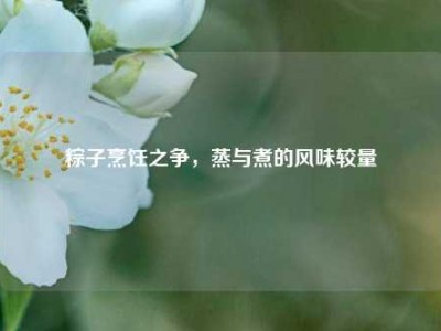 粽子烹饪之争，蒸与煮的风味较量