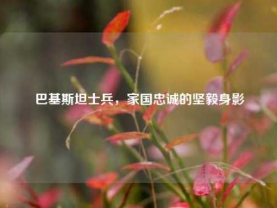 巴基斯坦士兵，家国忠诚的坚毅身影