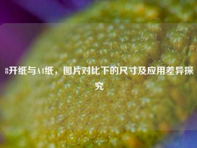 8开纸与A4纸，图片对比下的尺寸及应用差异探究