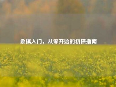象棋入门，从零开始的初探指南