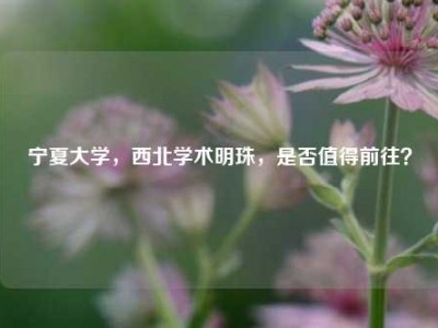 宁夏大学，西北学术明珠，是否值得前往？